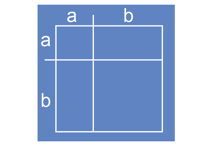Fill the box with lines to separate the sections